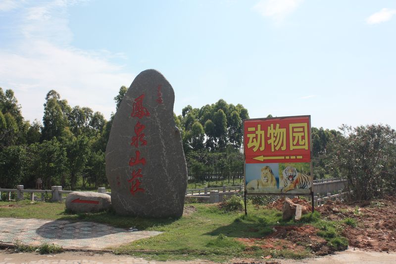 简介:厦门海沧野生动物园位于海沧投资区角嵩路东段,首期占地面积18万平方米,是福建省第一座集野生动物散养、驯化、表演、展出和野生动物移地保护、生物多样性保护、野生动物繁殖、科学研究于一体的综合性主题公园。海沧野生动物园2001年元月开园,2003年5月被市委宣传部、市科协授予厦门市科普教育基地称号。可惬意地人走车行于园区,没有距离地和野生动物亲近,体验人与动物共享自然,和谐相处的乐趣,让游客有返朴归真的真切感受。车行游览区包括:白虎区、东北虎区、狮区、熊区和非洲草食区。步行参观区设有非洲草食动物区、水鸟区