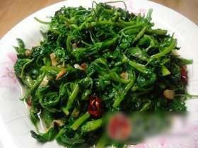 蒜炝苜蓿