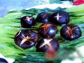 香菇油菜