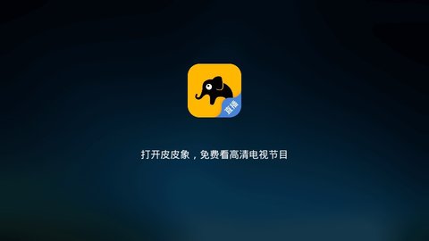 皮皮象电视TV版